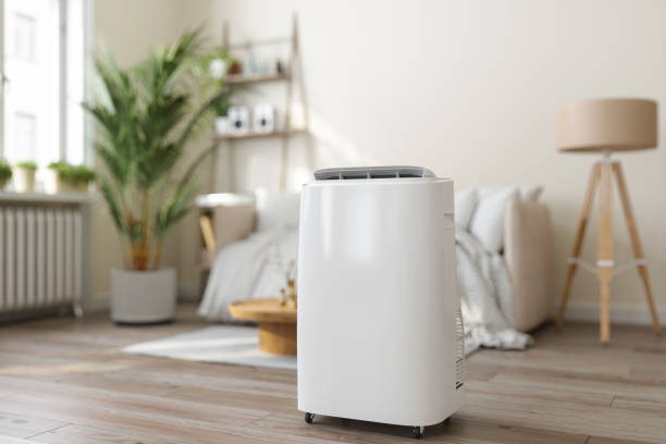 Best Local HVAC companies  in Krugerville, TX
